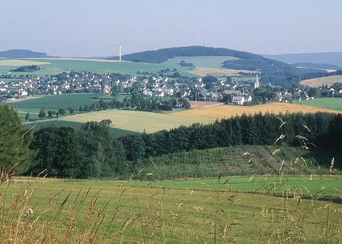 酒店 唐纳乡村酒店 梅舍德